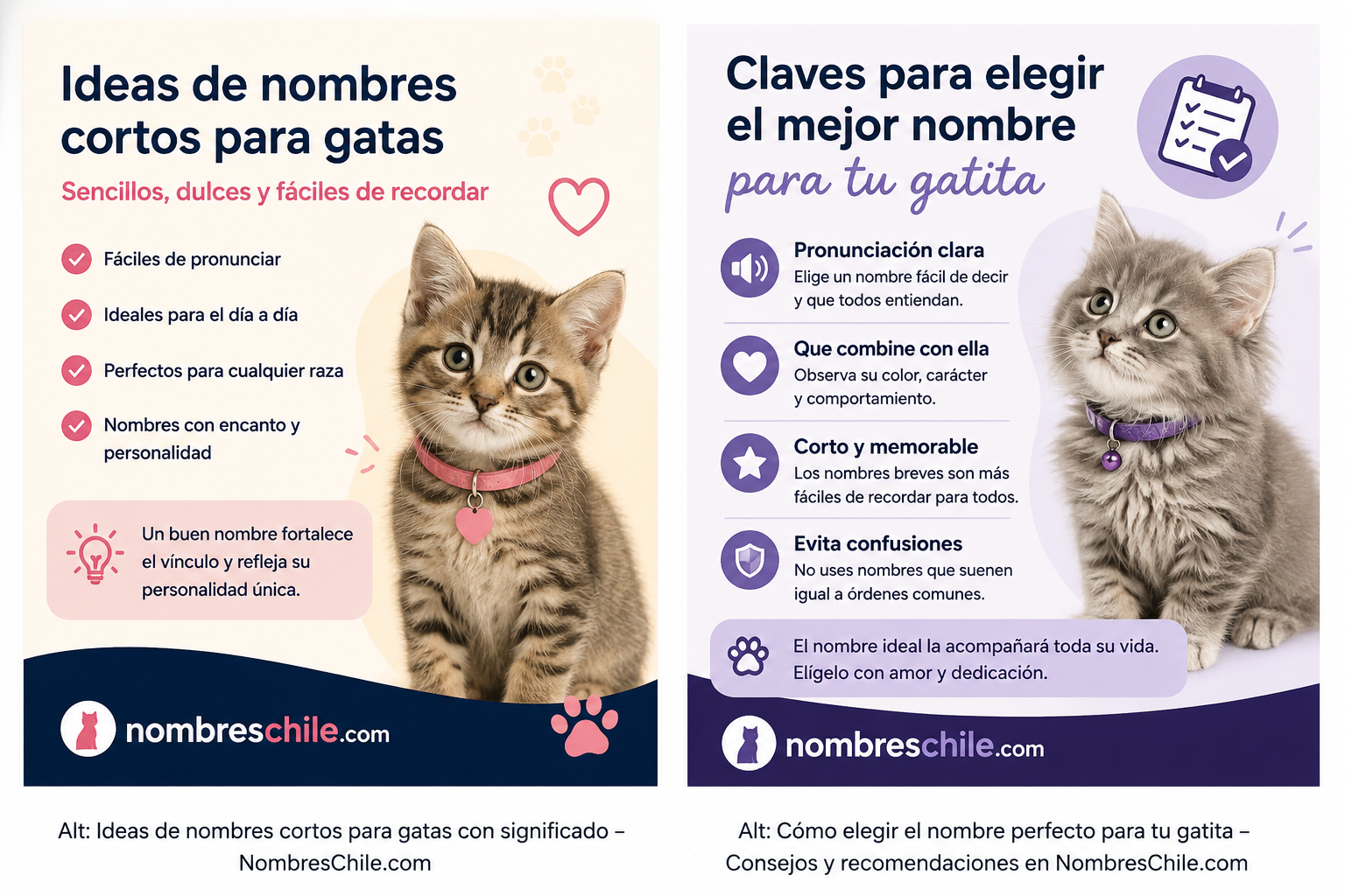 Nombres divertidos para gatos machos