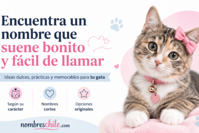 Nombres para gatitas